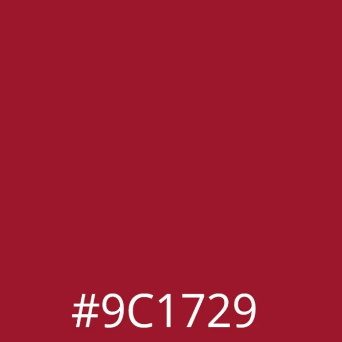 Leather Colour Cream - Cherry