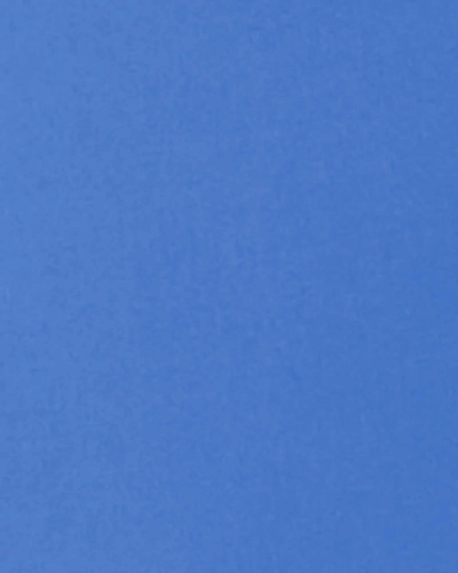Madalena Ankle Pant | Royal Blue