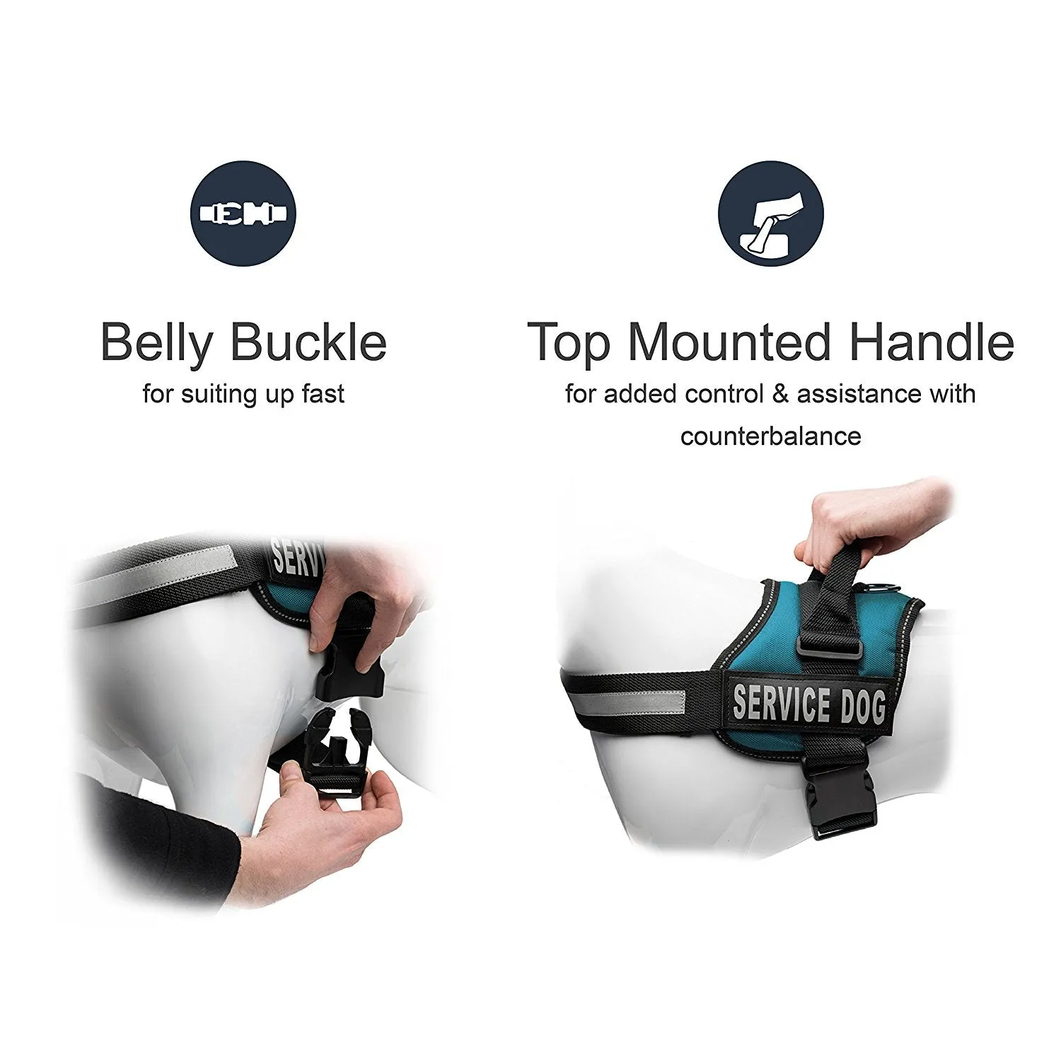 Service Dog Harness Teal
