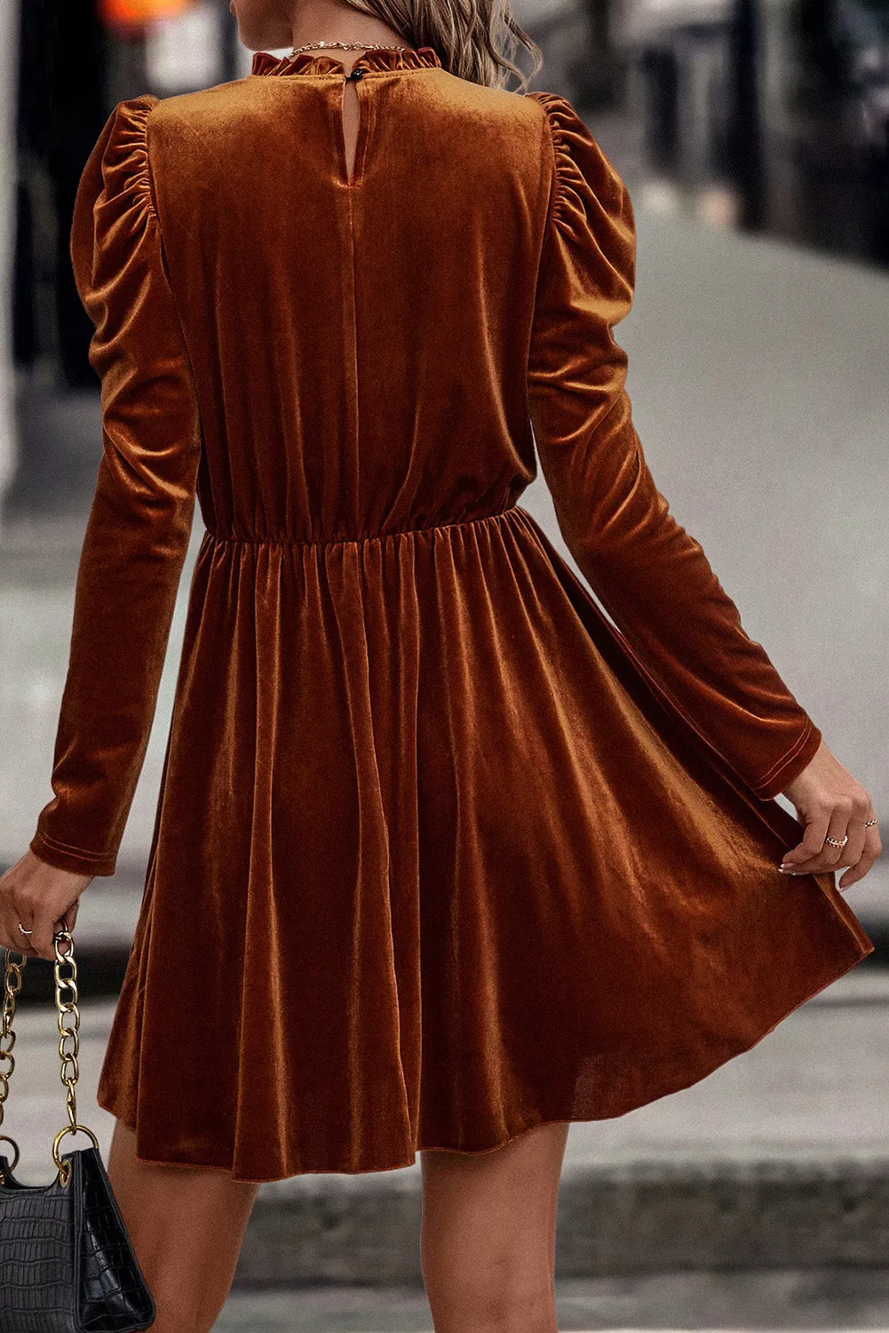 Velvet Frilled Gigot Sleeve Swing Dress