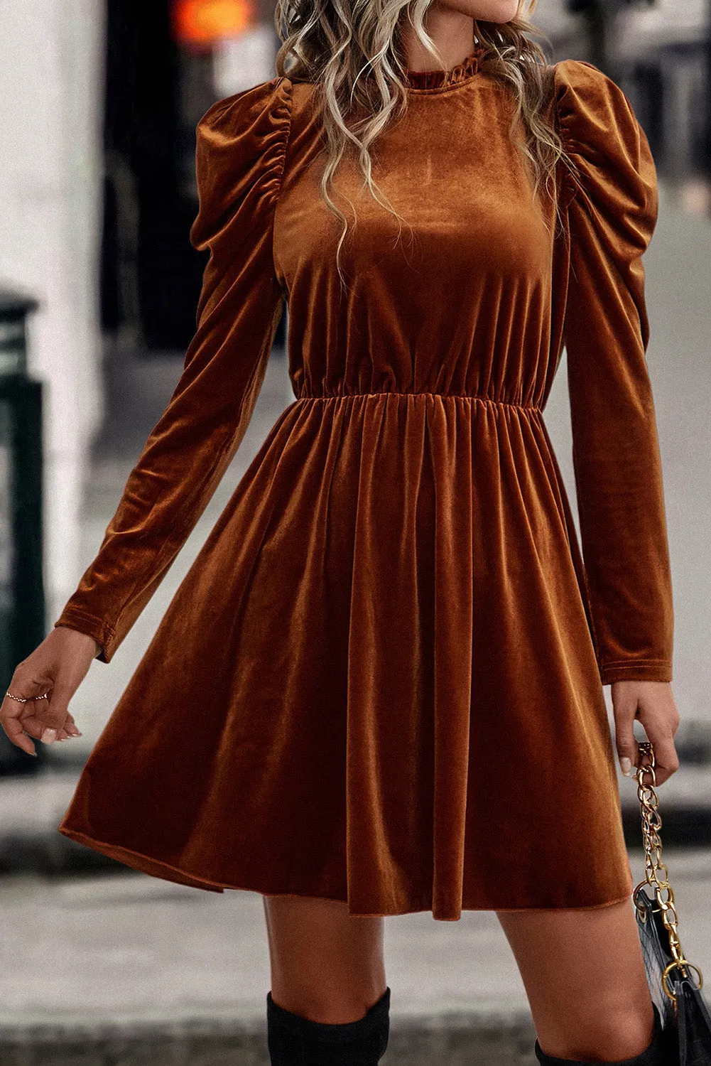Velvet Frilled Gigot Sleeve Swing Dress